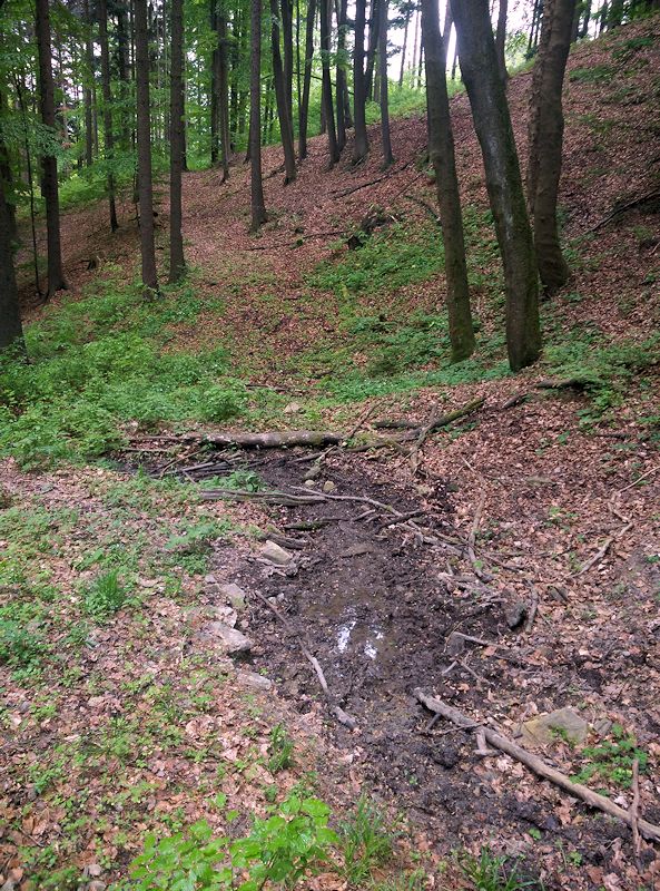 pramen Nad Nebíčkem (10753) - červen 2016