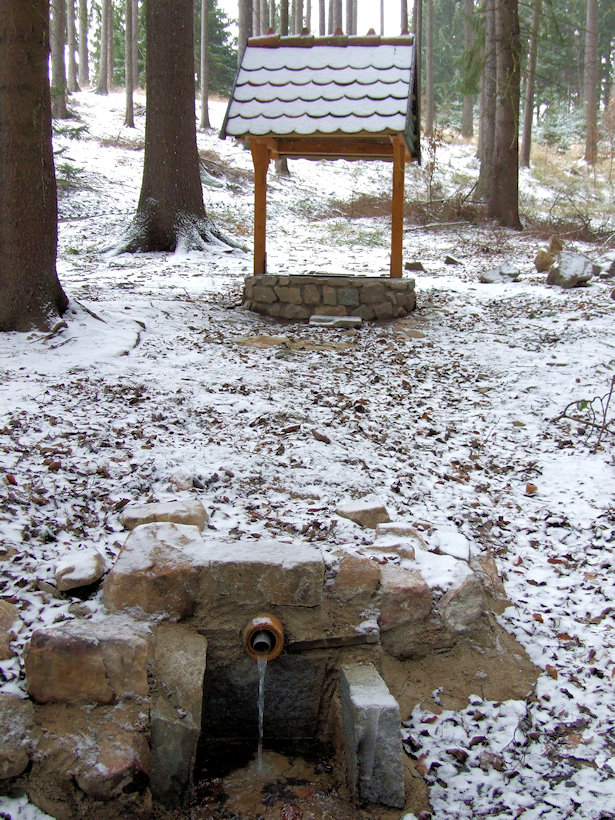 studánka U Holešínky (10767) - prosinec 2019