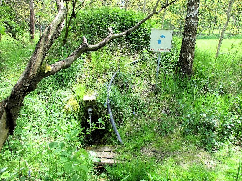 studánka U okruhu (10776) - červen 2016