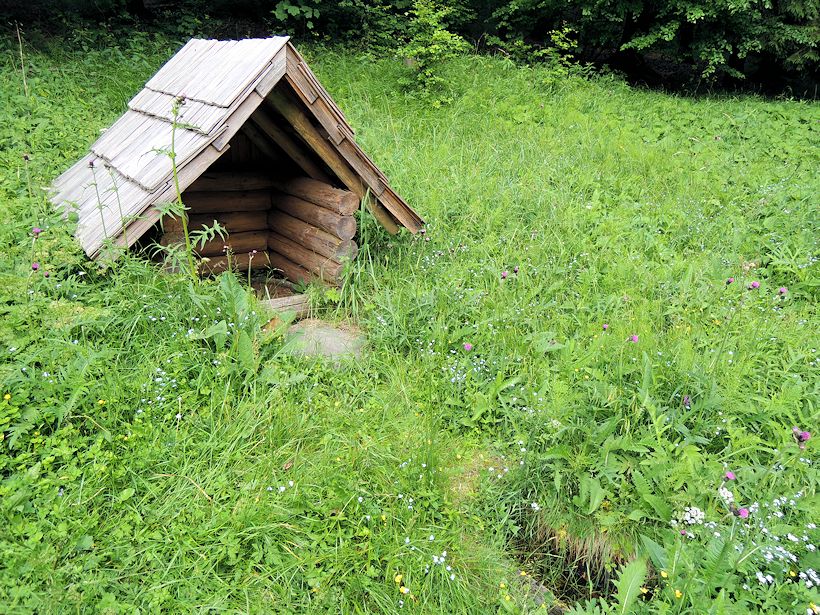 studánka Alice (10782) - červen 2016