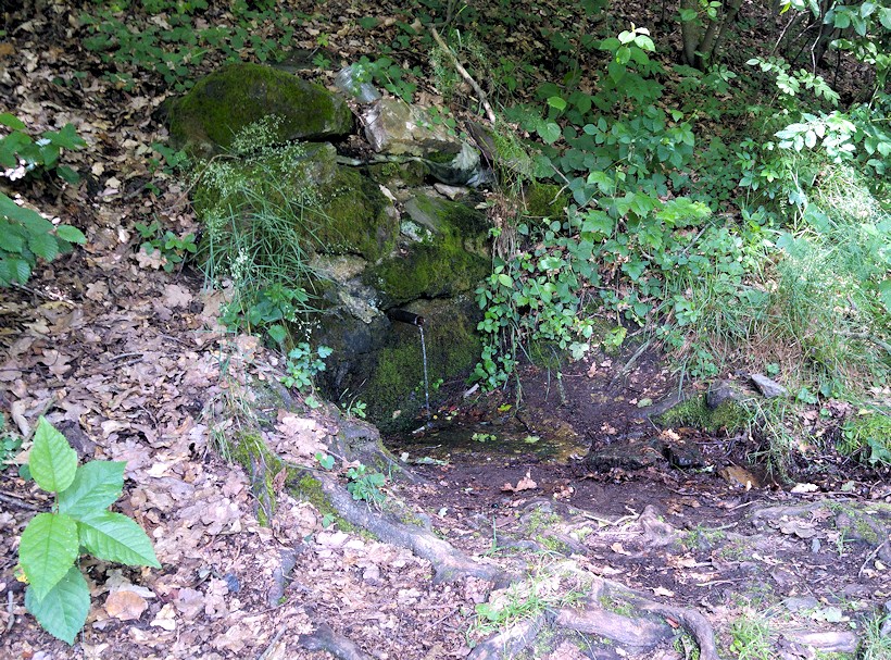 studánka bez jména (10785) - červen 2016