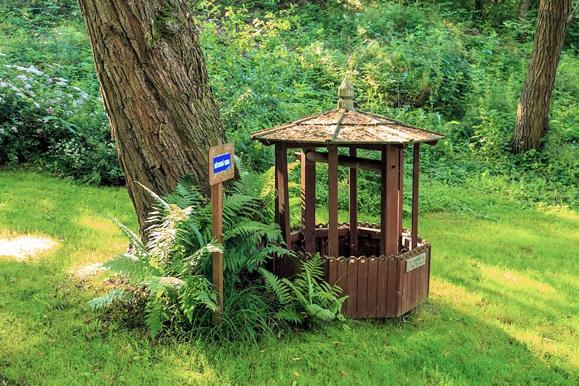studánka Pod vrbou (10786) - červen 2016