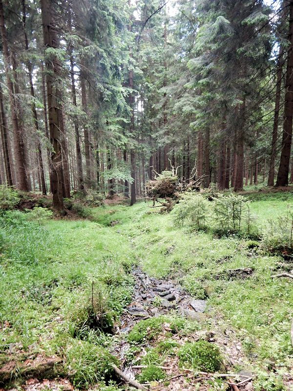 pramen Stříbrnický potok 2 (10794) - červen 2016