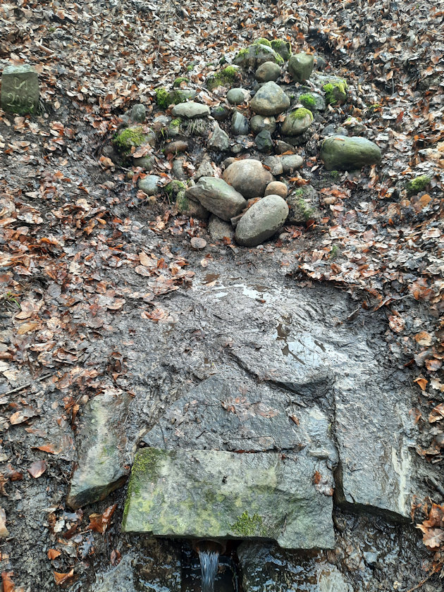 studánka Pod lomem (10826) - duben 2023