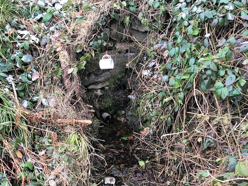 studánka Bílé studýnky (10827) - datum neznámé