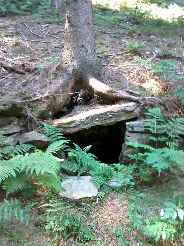 studánka Pod Kyvňačkou (10834) - červenec 2016
