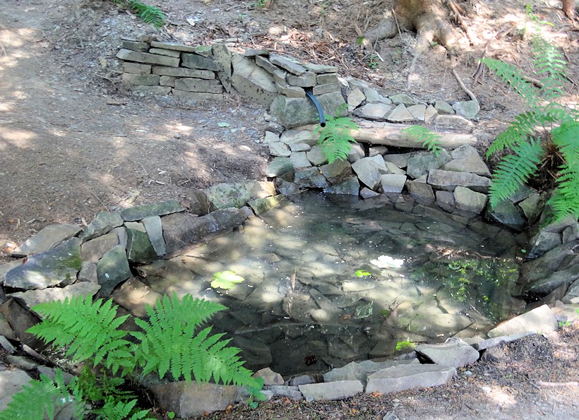 studánka U mravenca (10870) - červenec 2016