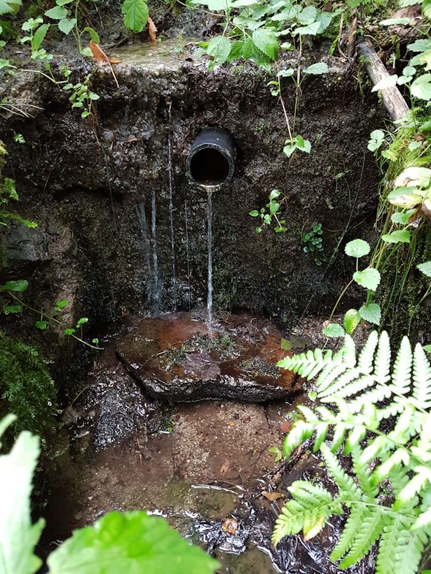 Studánka Tĕpeře (10874) - červenec 2016