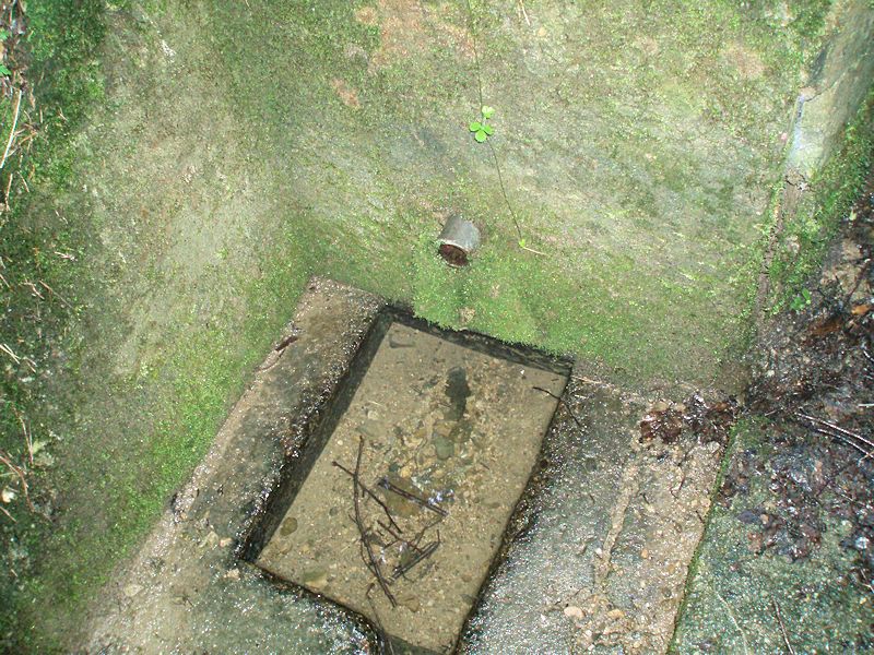 studánka Na Kameňáku (10889) - srpen 2016