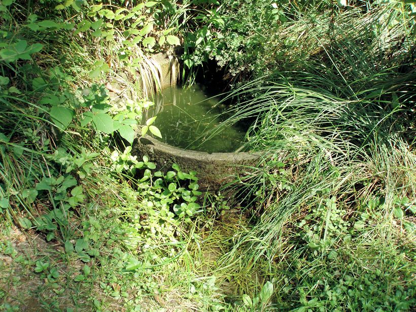 studánka U Voráčů (10890) - srpen 2016