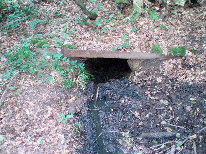 studánka Pod Třešňákem (10903) - srpen 2016