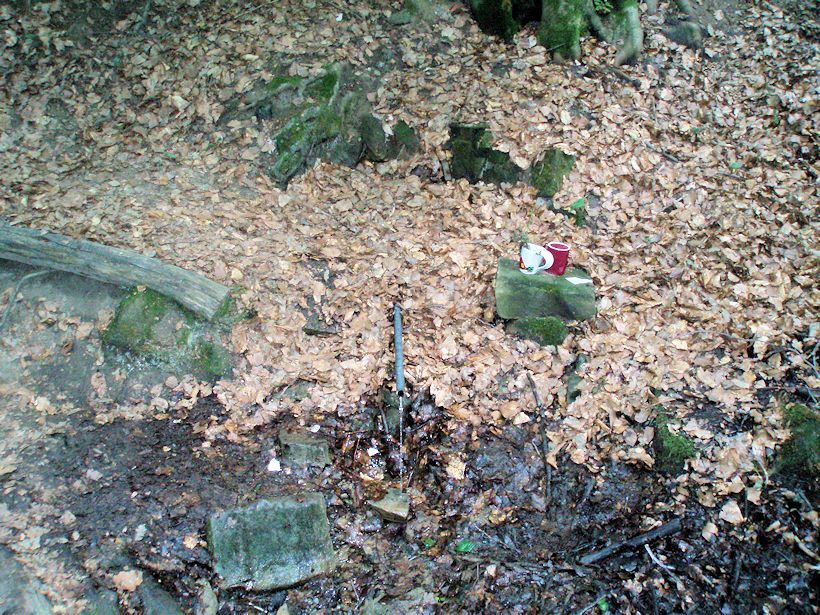 studánka Pod vagónem (10904) - srpen 2016