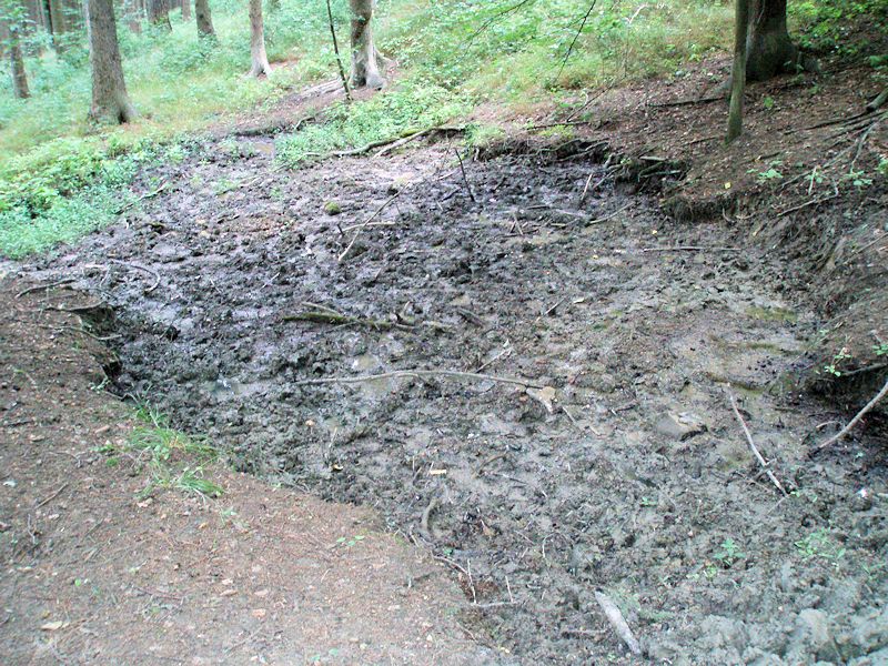prameniště bez jména (10908) - srpen 2016