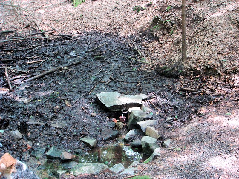 studánka Pod babinkami (10923) - srpen 2016