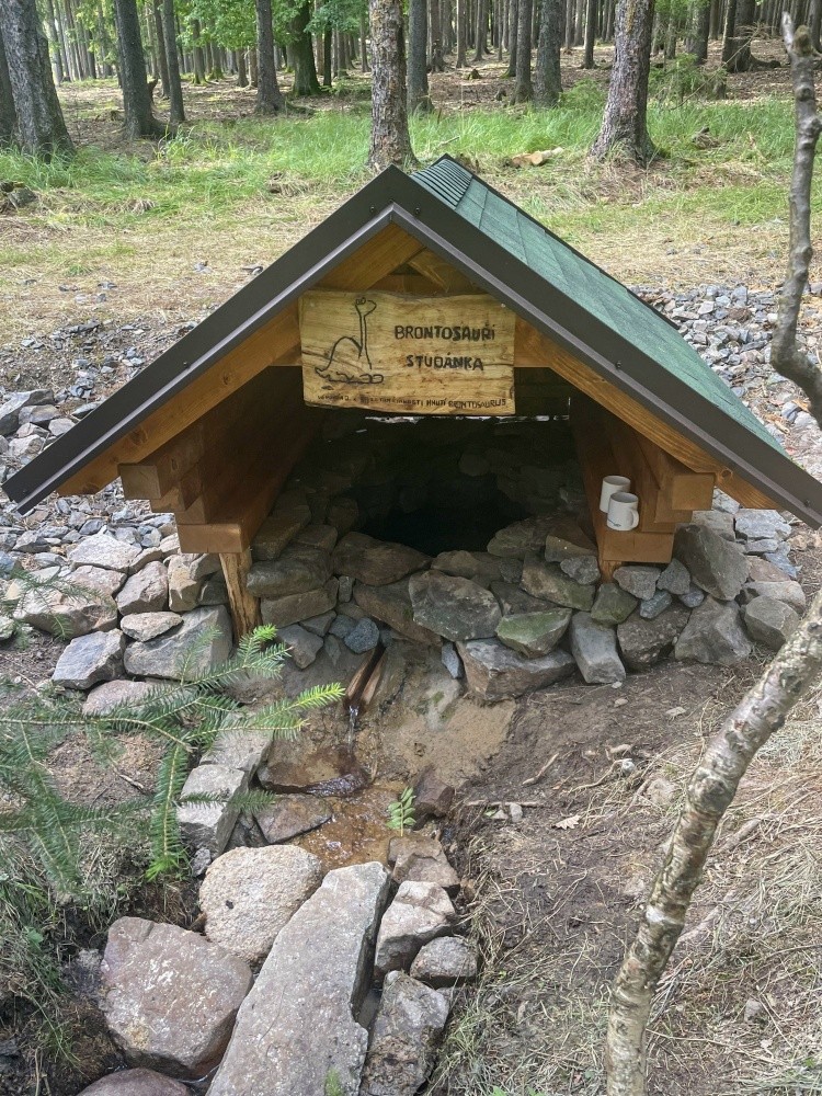 Brontosauří studánka (10937) - červen 2024