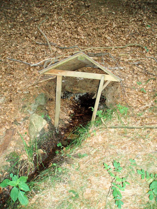 studánka U Žabárny (10945) - srpen 2016