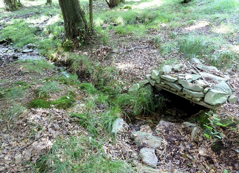 studánka Voznický pramen 1 (10954) - srpen 2016