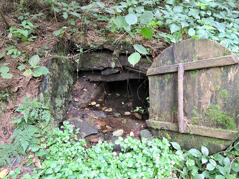 studánka U Nivského mlýna (10970) - září 2016