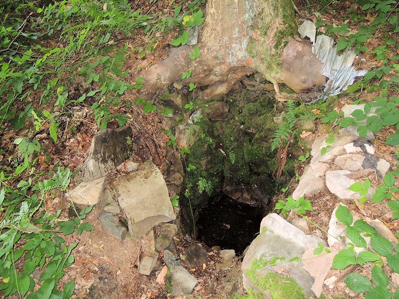 studánka Magdalenka (10974) - září 2016