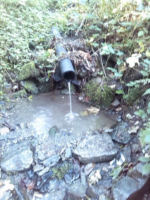 Tomáškova studánka (10981) - září 2016
