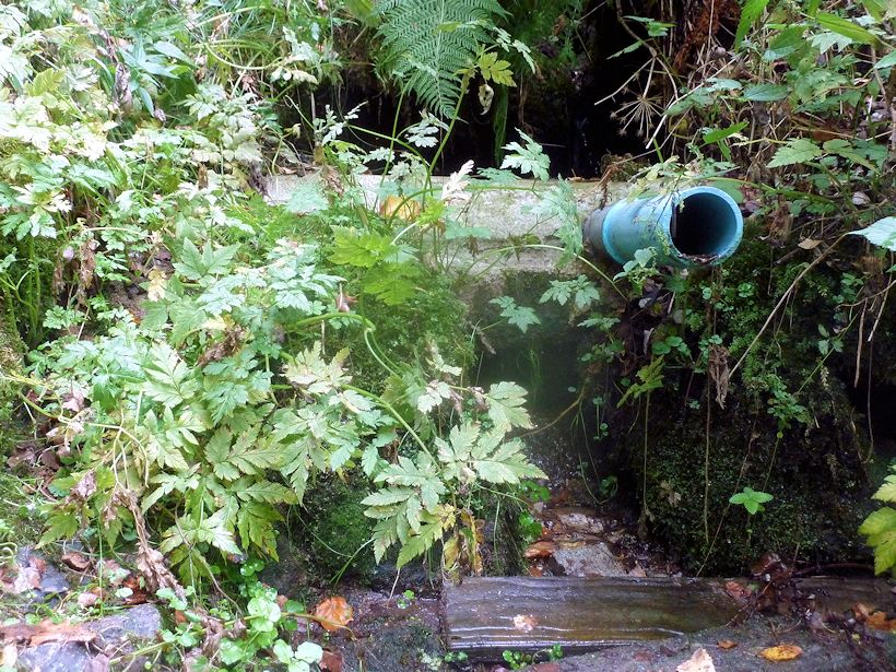 studánka Amálka (11017) - září 2016