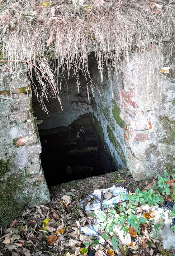 studánka bez jména (11029) - říjen 2016
