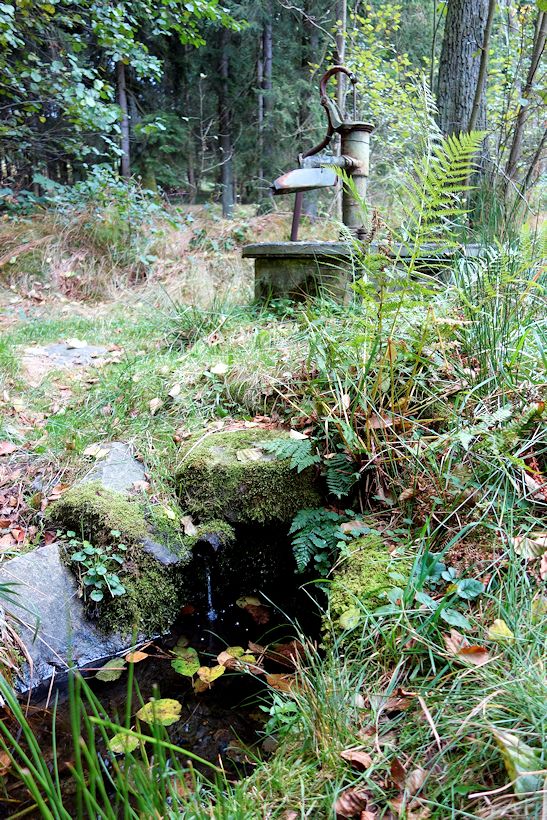 studánka V Koutech (11030) - říjen 2016
