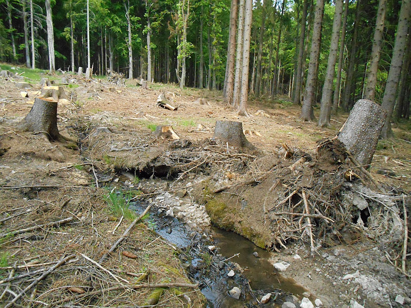 studánka Knížecí studánky (11055) - datum neznámé