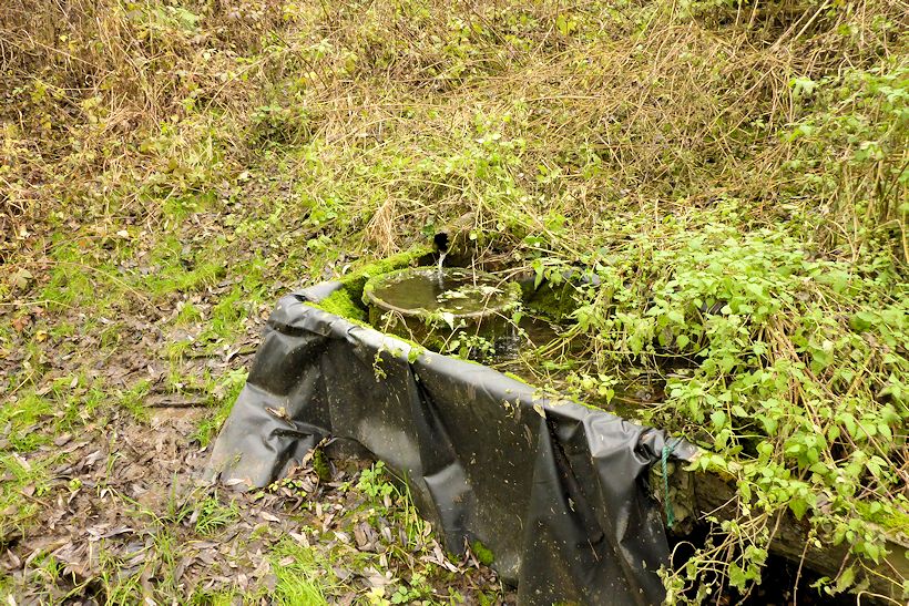 studánka U židovského hřbitova (11076) - listopad 2016