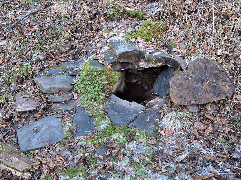 studánka Skrytá (11099) - leden 2017