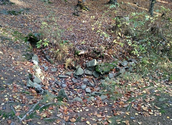 studánka bez jména (11117) - leden 2017