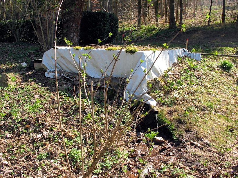 studánka Voršilka (11120) - leden 2017