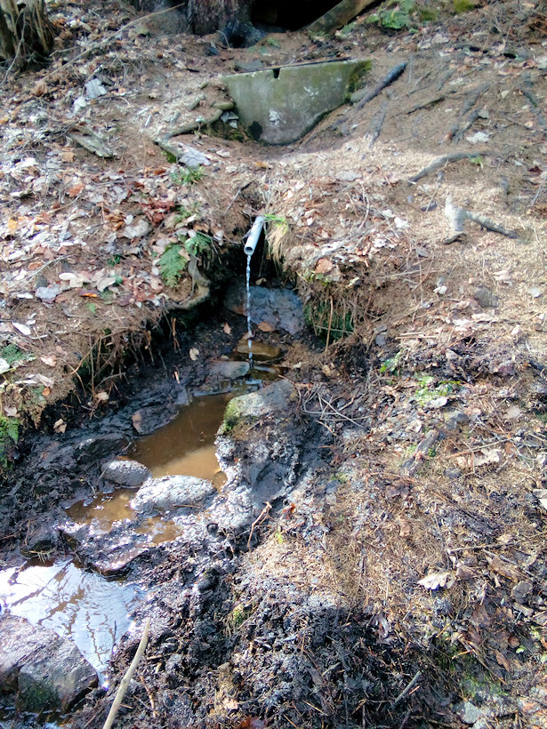studánka Belko (11153) - březen 2019