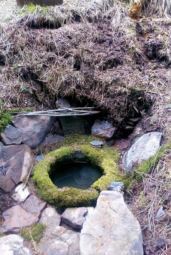 studánka Podkrkonošská (11170) - březen 2017