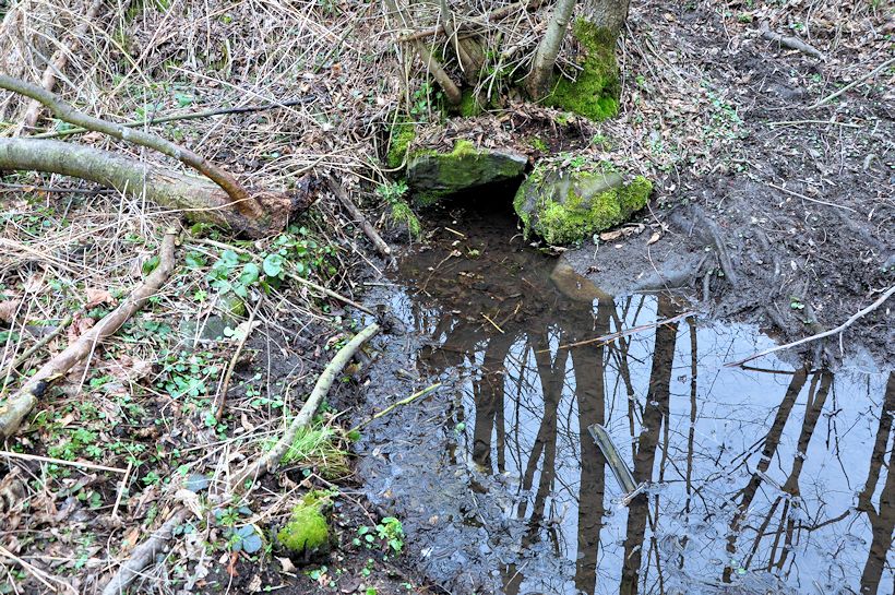 studánka V lučině (11174) - březen 2017