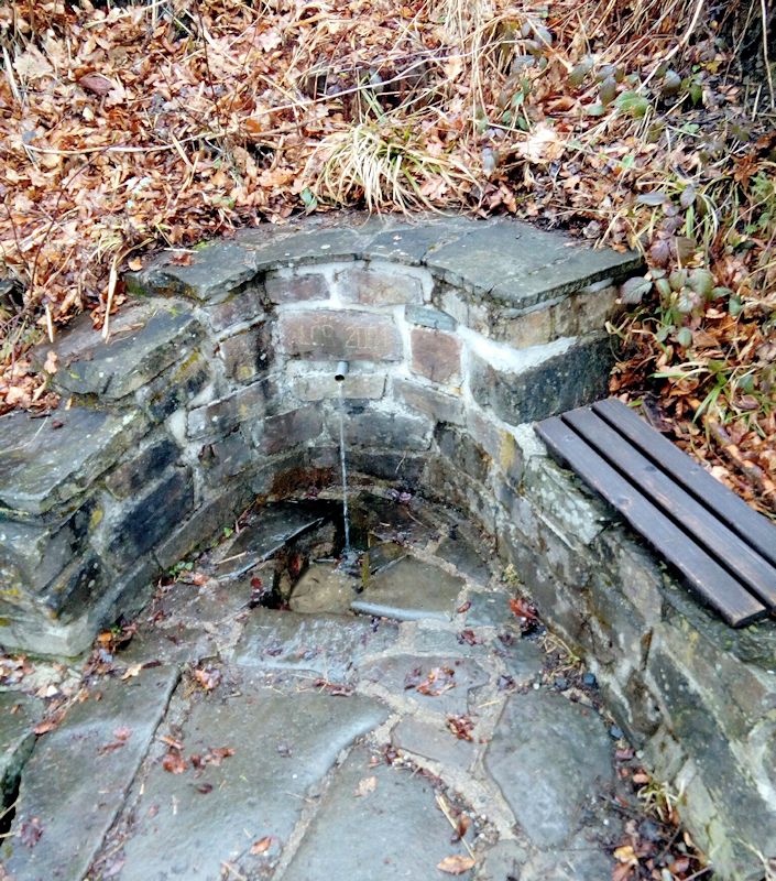 studánka Pod Polanou (11182) - březen 2017