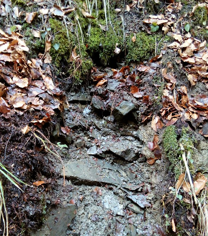 prameniště Pod Kamenitým (11184) - březen 2017