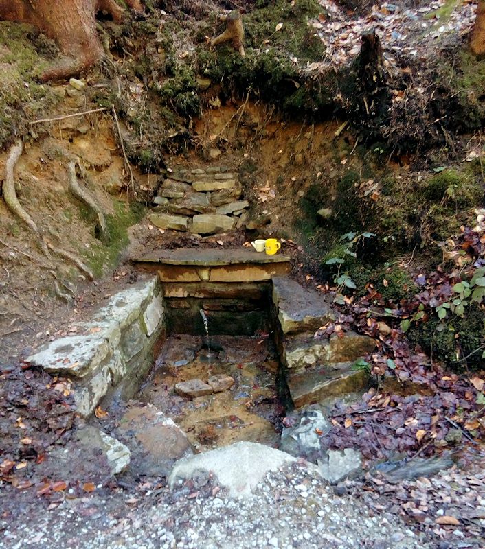 studánka Raztůčka (11186) - březen 2017