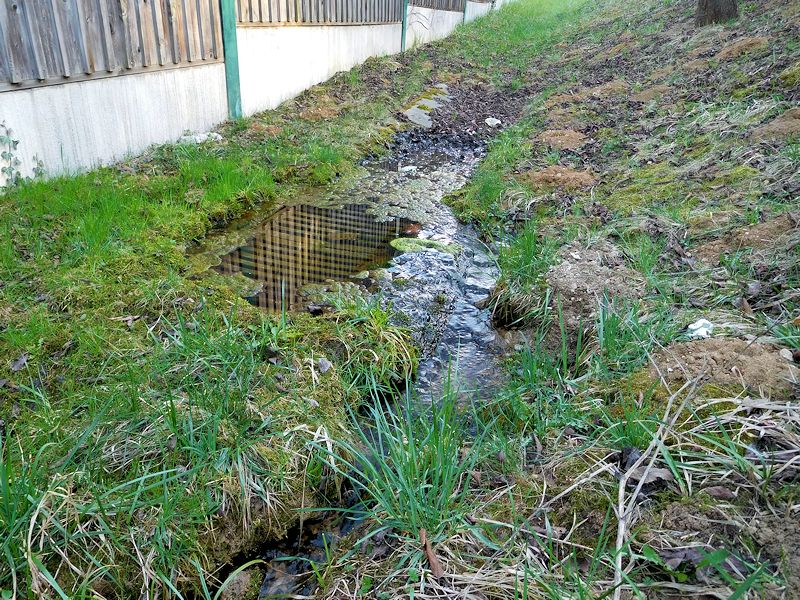 jiný vodní zdroj Kanálový pramen (11192) - březen 2017