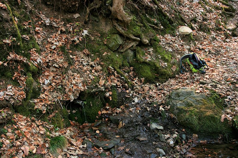 studánka bez jména (11210) - duben 2017