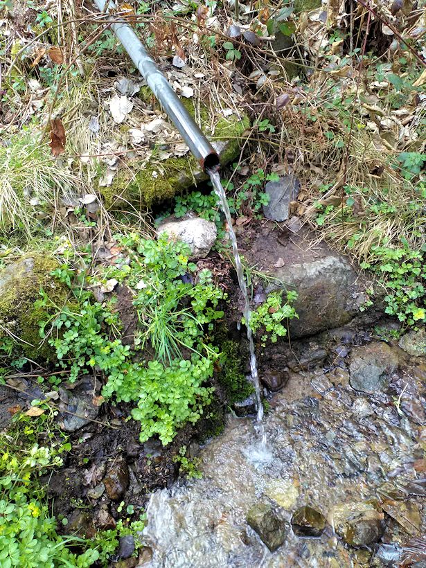 studánka Na Bačině (11229) - duben 2017