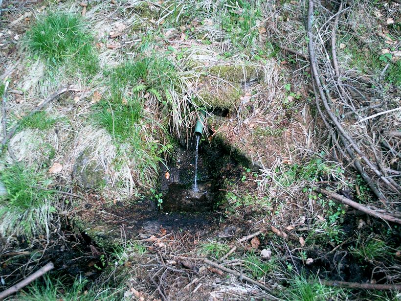 studánka bez jména (11234) - duben 2017