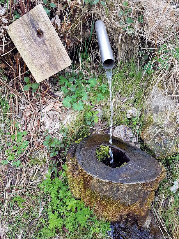 studánka Nad Dolním Chlumem (11241) - duben 2017