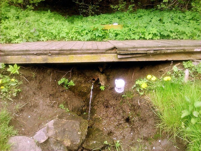 studánka bez jména (11258) - květen 2017