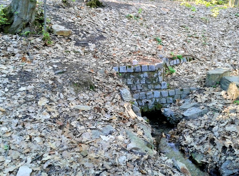 studánka U Památného smrku (11263) - květen 2017