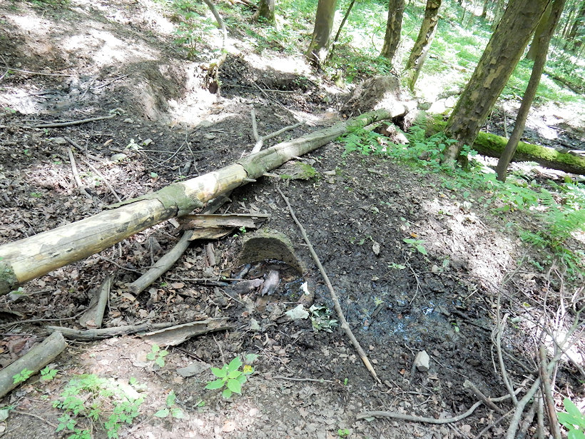 pramen Pod klášterem (11280) - červenec 2019