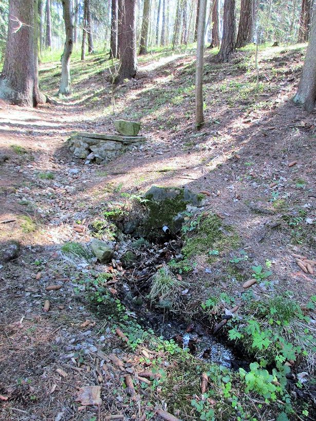 studánka V Kutinách (11281) - květen 2017