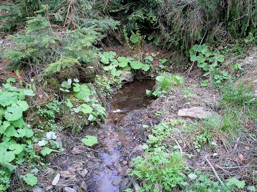 studánka bez jména (11319) - květen 2017