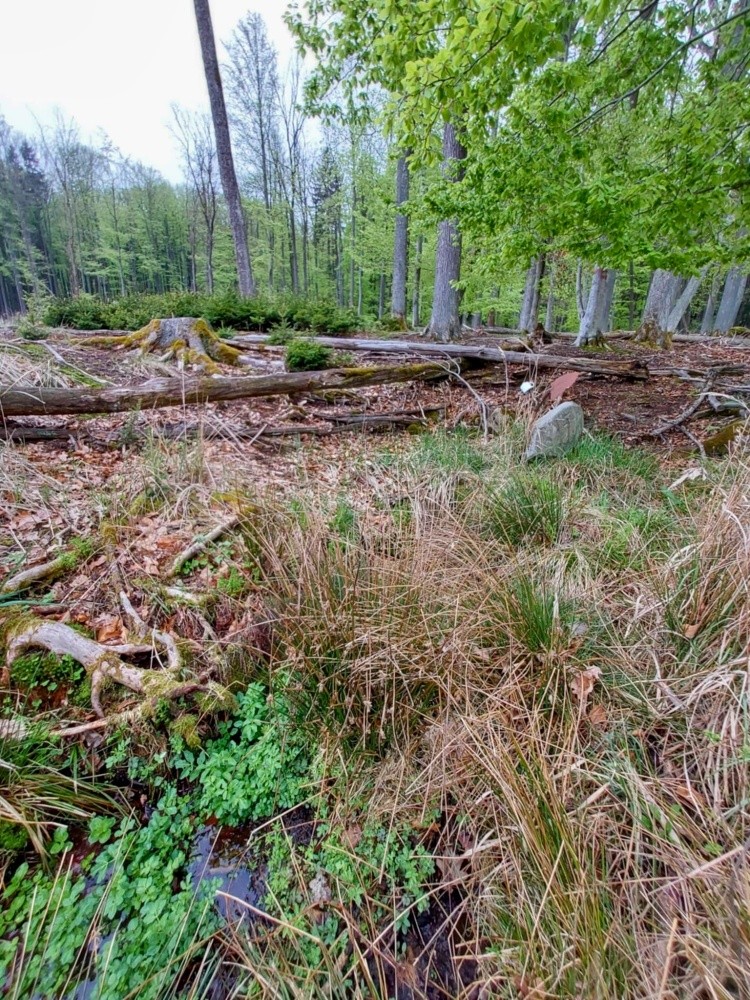 Hraniční studánka (11320) - datum neznámé