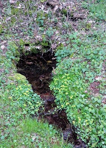 studánka Ludmila (11326) - květen 2017